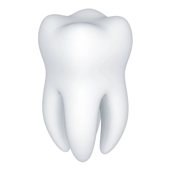 Modelo Dente — Fotografia de Stock