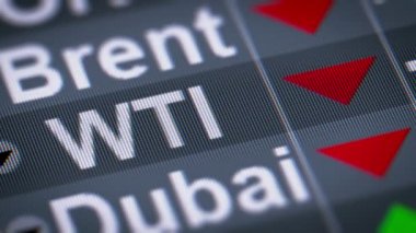 Petrol Dizin üstünde belgili tanımlık perde. Döngü.