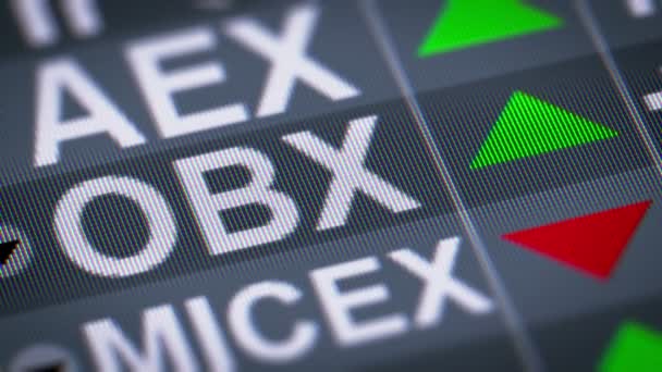 Index Akciového Trhu Který Uvádí Nejlikvidnější Společnosti Hlavní Index Burzy — Stock video