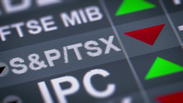 Der Tsx Composite Index Ist Ein Index Der Aktienkurse Der — Stockvideo