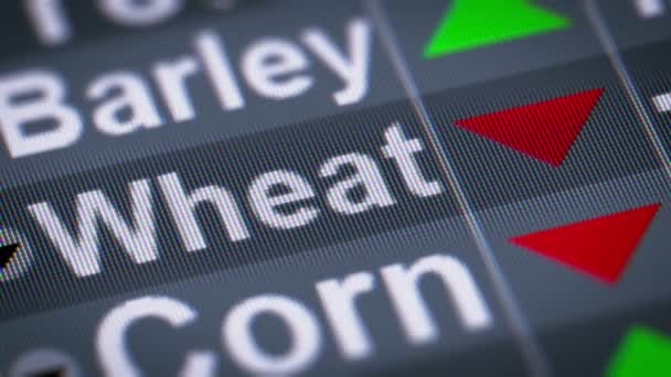 Index Wheat Screen Looping — Stock Video