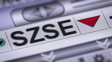 Shenzhen Borsası Çin'in üç menkul kıymet borsaları, Şanghay Borsası ve Hong Kong Menkul Kıymetler Borsası yanında biridir.