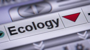 Ekoloji dizin. Aşağı. Döngü.