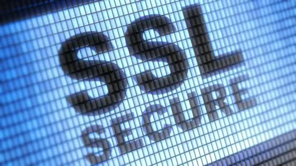 Ssl Secure Screen Resolution Encoder Prores 4444 Great Quality Looping — Stock Video