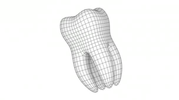 Dente Ripresa Della Risoluzione — Video Stock