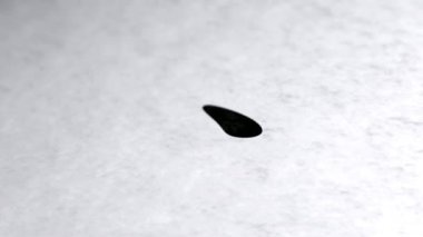 Kağıt üzerinde yazıt. 4 k çözünürlüklü görüntüleri döngü var. ProRes 4444.