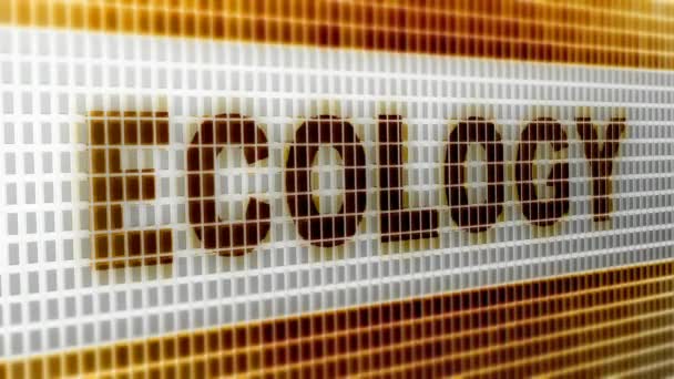 Ecologie Het Scherm Resolutie Encoder Prores 4444 Grote Kwaliteit Looping — Stockvideo