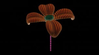 Çiçek. 4 k çözünürlüklü görüntüleri döngü var. ProRes 4444. 