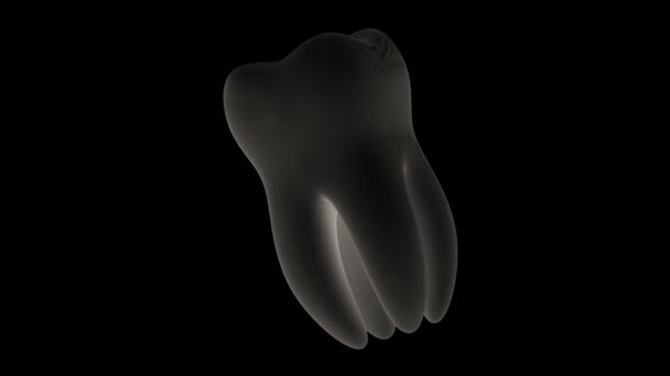Зуб Цикл Кадри Має Роздільну Здатність Prores 4444 — стокове відео