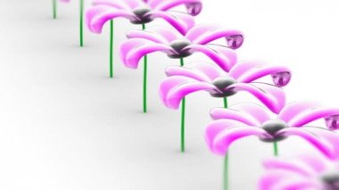 Çiçek. 4 k çözünürlüklü görüntüleri döngü var. ProRes 4444. 3D çizim.