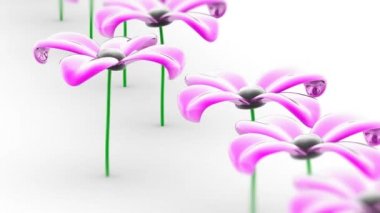 Çiçek. 4 k çözünürlüklü görüntüleri döngü var. ProRes 4444. 3D çizim.