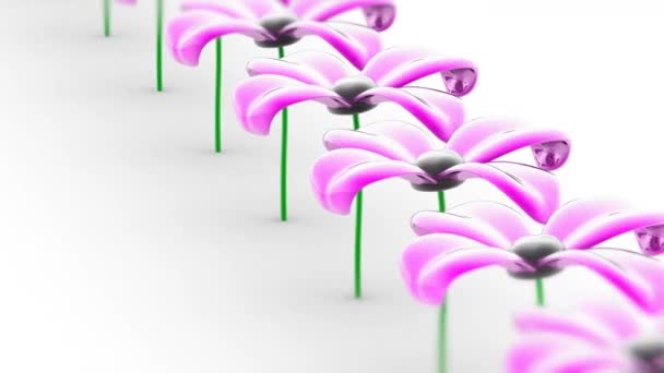 Flower Looping Footage Has Resolution Prores 4444 Illustration — Stock Video