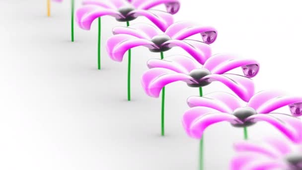 Квітка Циклічні Кадри Мають Роздільну Здатність Пропозиція 4444 Ілюстрації — стокове відео