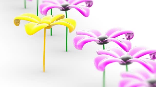 Flower Looping Footage Has Resolution Prores 4444 Illustration — Stock Video