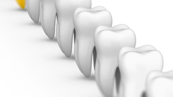 Ząb Zapętlanie Materiału Rozdzielczości Kanału Alfa Prores 4444 — Wideo stockowe