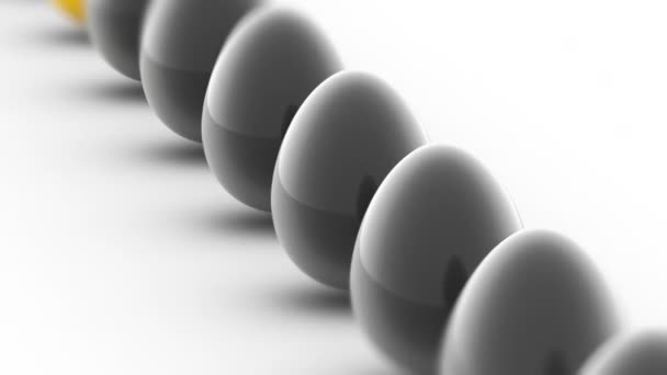 Яйца Цикл Съемки Разрешение — стоковое видео