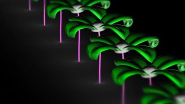 Çiçek. 4 k çözünürlüklü görüntüleri döngü var. ProRes 4444. 3D çizim.