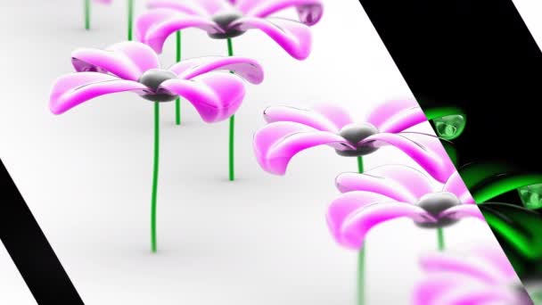 Квітка Циклічні Кадри Мають Роздільну Здатність Пропозиція 4444 Ілюстрації — стокове відео