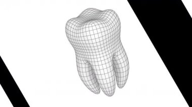 Diş. 4 k çözünürlüklü görüntüleri döngü var. ProRes 4444.