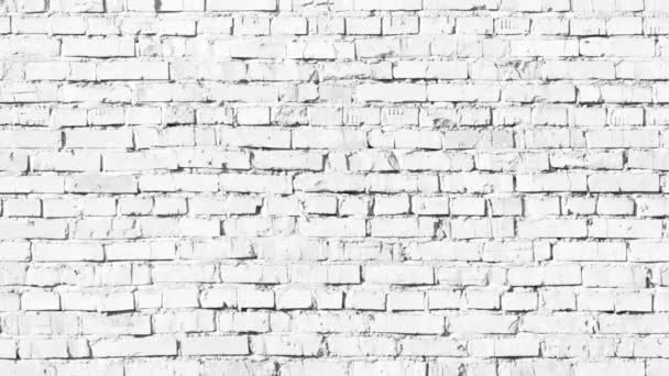 Brickwall Looping Beelden Heeft Resolutie — Stockvideo
