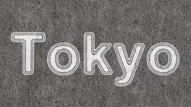 Tokyo Döngü Görüntüleri Çözünürlüğe Sahiptir Prores 4444 — Stok video