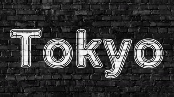 Tokyo Looping Aufnahmen Haben Eine Auflösung Von Vorbericht 4444 — Stockvideo