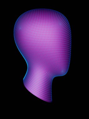 Bir kafanın ızgarası. 3d İllüstrasyon.