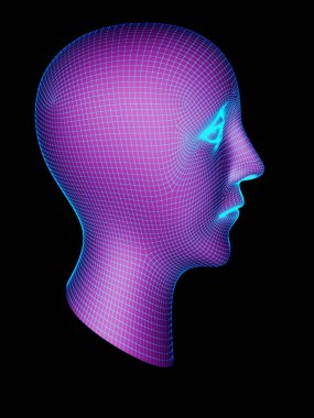 Bir kafanın ızgarası. 3d İllüstrasyon.