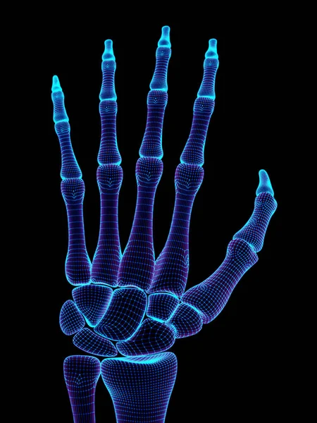 Das Gitter Einer Hand Illustration — Stockfoto