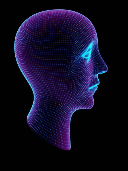 The grid of a head. 3D Illustration.