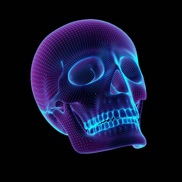 Cuadrícula Cráneo Ilustración — Foto de Stock