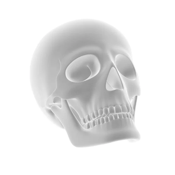Geometría Cráneo Ilustración — Foto de Stock