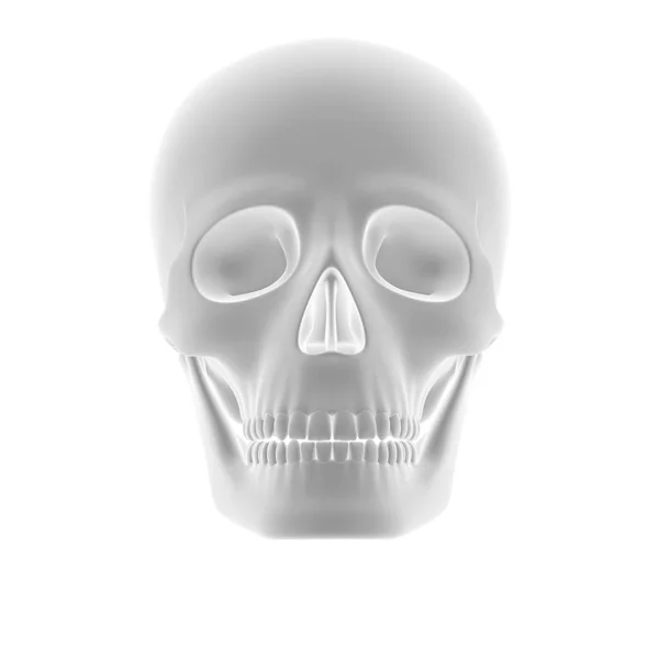 頭蓋骨の幾何学3Dイラスト — ストック写真