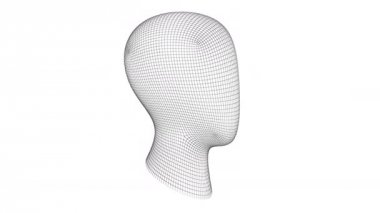 Bir kafa geometrisi. 3d video.