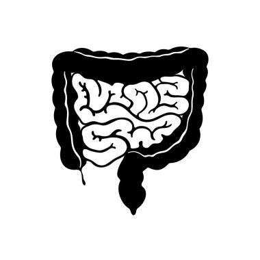 Gastrointestinal sistem, vücut organ sistemi