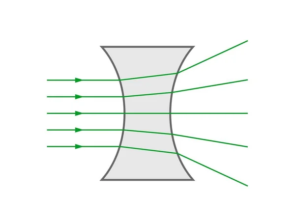双凹透镜透镜中的折射 — 图库矢量图片