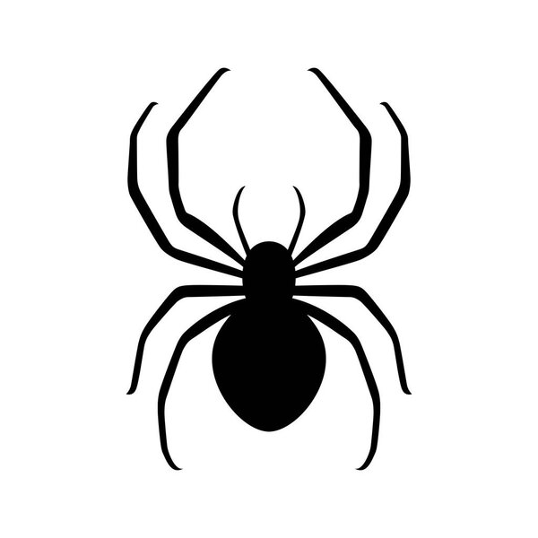 Маленький паучок, силуэт
