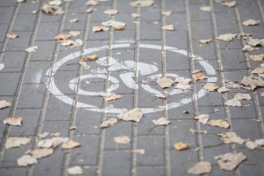 Sonbahar altında Bisiklet şeritli yol iz bırakır