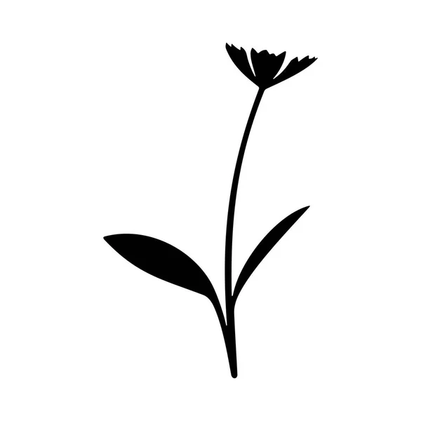 Peterselie Organische Microgreen Silhouet — Stockvector