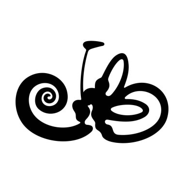 Vestibüler duyu sistemi - vektör