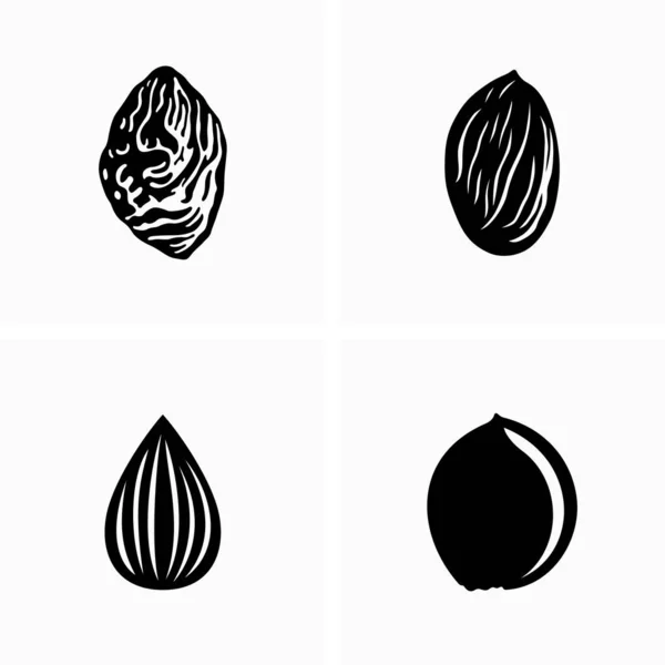 Diversi Tipi Forme Noccioli Frutta — Vettoriale Stock