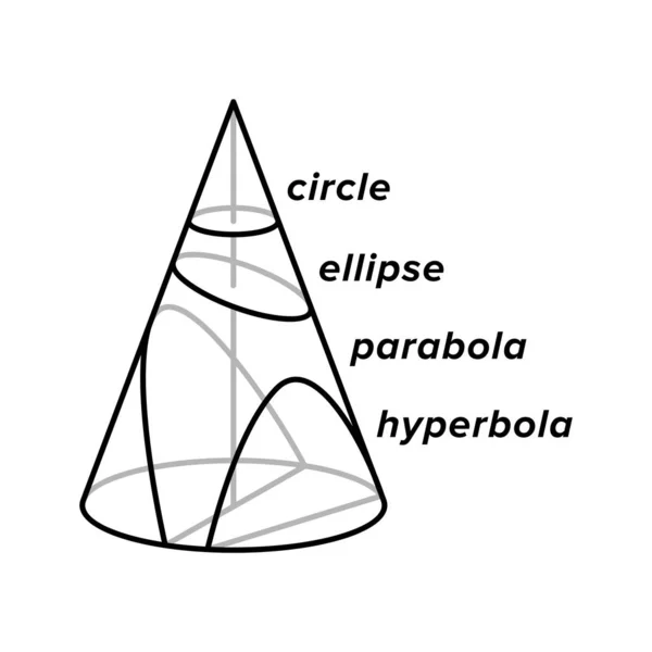 Círculo Elipse Parábola Hipérbola Sección Cónica Curvada Matemáticas Vector — Vector de stock