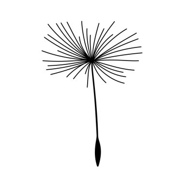 Havada uçan tek karahindiba tohumu