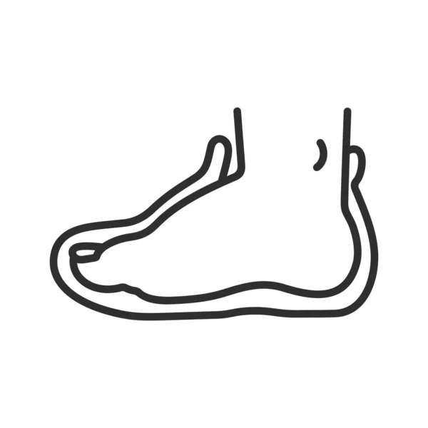 Foot Part Leg Shoe — Stock Vector