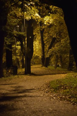 Akşam geç sonbahar parkta sokakta. Sokak lambaları sarı ışık biraz parkta gece sokakta koyuluğunu yayılır.