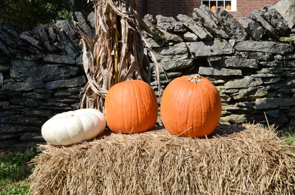 Pumpkins Resting Haybale Farm Central Kentucky Symbolizes Autumn Harvest Rural — Stock Photo, Image