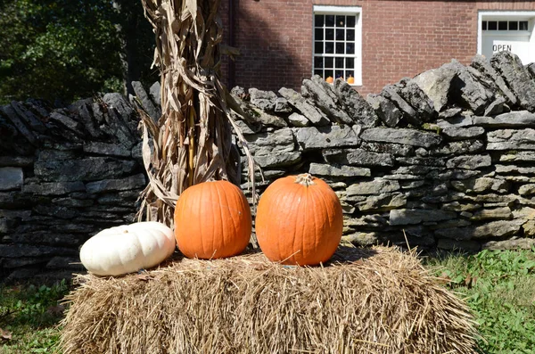 Haybale Merkez Kentucky'de bir çiftlikte üzerinde dinlenme balkabağı. Sembolize sonbahar, hasat, kırsal gelenekler.