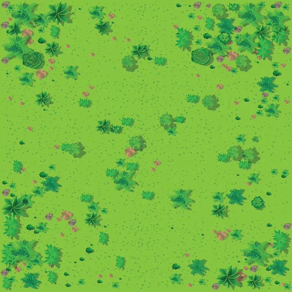 Vue Dessus Campagne Avec Forêt Herbe Avec Pierres Arbres — Image vectorielle