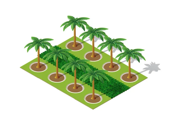 Stromy Parku Palm Městské Krajině Izometrickém Pohledu Návrhových Prvků Sada — Stockový vektor