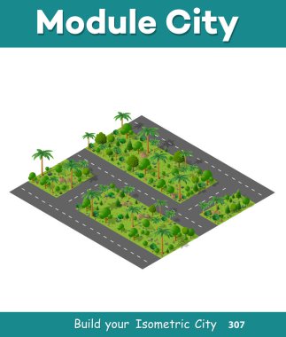 İzometrik yolun orman 3d manzara doğa ile yeşil öğe ağacı şehir park harita sokağın ortasında. Vektör açık yaz illüstrasyon seyahat tasarımı için.